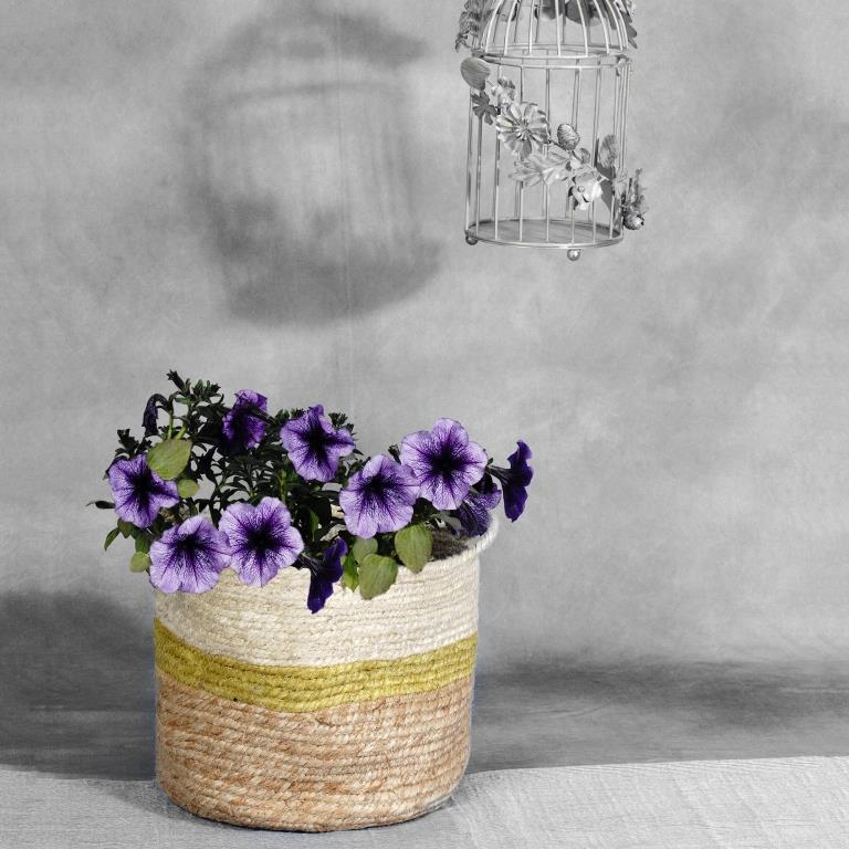 jute planter